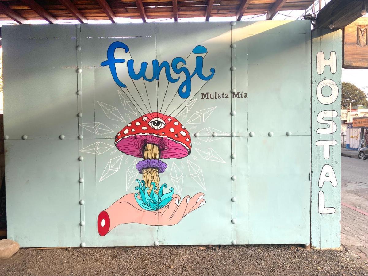 Fungi Tipis Hotel Tepoztlán Exterior foto